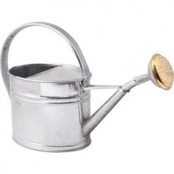 Guillouard Décoration De Jardin Arrosoir En Acier Galvanisé Avec Pomme 1.75 Litres Naturel -Plantes vertes Soldes arrosoir en acier galvanise avec pomme 1 75 litres naturel 2