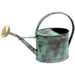 Guillouard Décoration De Jardin Arrosoir En Acier Galvanisé Avec Pomme 1.75 Litres Naturel -Plantes vertes Soldes arrosoir en acier galvanise avec pomme 1 75 litres vert vieilli