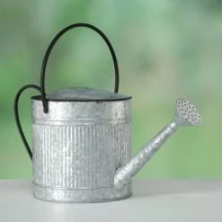 Wadiga Jarres Et Cache-pots Arrosoir En Zinc -Plantes vertes Soldes arrosoir en zinc 4