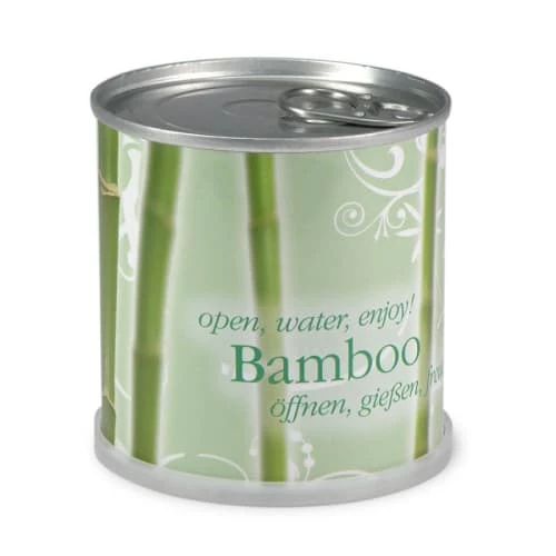 Mac Flower's Plantes D'intérieur Et Fleurs D'intérieur Bambou Prêt à Pousser En Canette 1 Mac Flower's Plantes D'intérieur Et Fleurs D'intérieur Bambou Prêt à Pousser En Canette