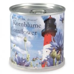 Mac Flower's Plantes D'intérieur Et Fleurs D'intérieur Bleuet à Faire Pousser En Boite