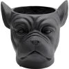 Kare Design Jarres Et Cache-pots Cache-pot Bouledogue En Fibre De Verre Noire