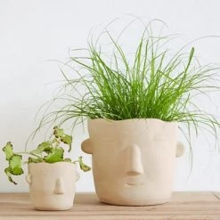 Becquet Jarres Et Cache-pots Cache-pot D'intérieur En Céramique Beige -Plantes vertes Soldes cache pot d interieur en ceramique beige 3