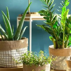 Becquet Jarres Et Cache-pots Cache-pot D'intérieur En Toile De Jute Blanc -Plantes vertes Soldes cache pot d interieur en toile de jute blanc 2