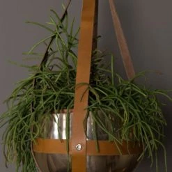 Dutchbone Jarres Et Cache-pots Cache Pot En Aluminium Doré -Plantes vertes Soldes cache pot en aluminium dore 3