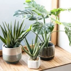 Maisons Du Monde Jarres Et Cache-pots Cache-pot En Grès Beige Et Bleu H18 -Plantes vertes Soldes cache pot en gres beige et bleu h18 1000 16 40 213281 6