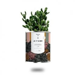 Diaïwaïe Plantes D'intérieur Et Fleurs D'intérieur Cactus Ou Plante Pot Grand Modèle Je T'aime