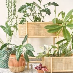 Maisons Du Monde Jarres Et Cache-pots Jardinière Sur Pieds En Rotin -Plantes vertes Soldes jardiniere sur pieds en rotin 1000 12 29 218887 4