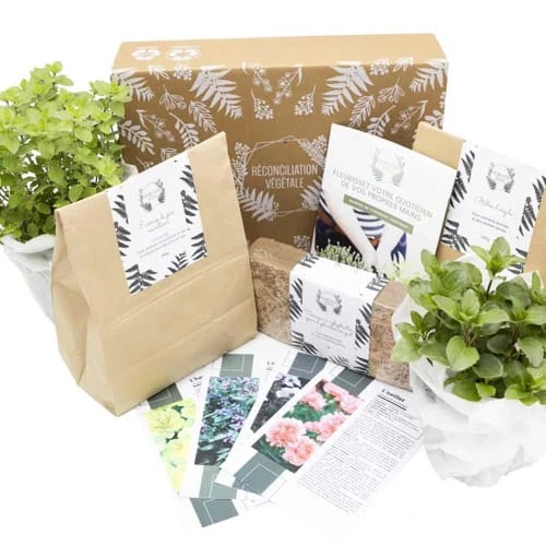 Réconciliation Végétale Plantes D'intérieur Et Fleurs D'intérieur Kit De Jardinage Spécial Plantes Aromatiques 2 Réconciliation Végétale Plantes D'intérieur Et Fleurs D'intérieur Kit De Jardinage Spécial Plantes Aromatiques – Image 2