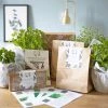 Réconciliation Végétale Plantes D'intérieur Et Fleurs D'intérieur Kit De Jardinage Spécial Plantes Aromatiques