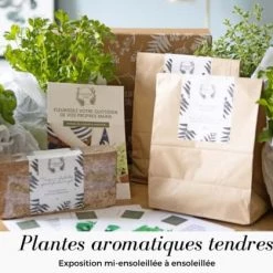 Réconciliation Végétale Plantes D'intérieur Et Fleurs D'intérieur Kit De Jardinage Spécial Plantes Aromatiques 5 Réconciliation Végétale Plantes D'intérieur Et Fleurs D'intérieur Kit De Jardinage Spécial Plantes Aromatiques -Plantes vertes Soldes kit de jardinage special plantes aromatiques 2