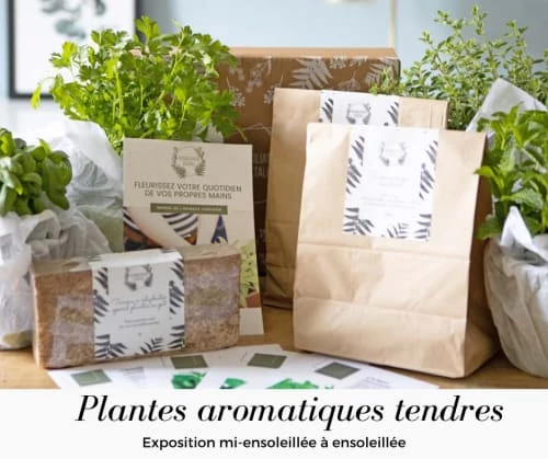 Réconciliation Végétale Plantes D'intérieur Et Fleurs D'intérieur Kit De Jardinage Spécial Plantes Aromatiques 3 Réconciliation Végétale Plantes D'intérieur Et Fleurs D'intérieur Kit De Jardinage Spécial Plantes Aromatiques – Image 3