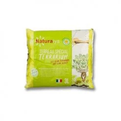 Naturalys Plantes D'intérieur Et Fleurs D'intérieur Kit Terrarium Plantes Bonbonne L (23 X 51 Cm) 7 Naturalys Plantes D'intérieur Et Fleurs D'intérieur Kit Terrarium Plantes Bonbonne L (23 X 51 Cm) -Plantes vertes Soldes kit terrarium plantes bonbonne l 23 x 51 cm 3