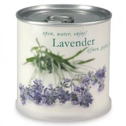 Mac Flower's Plantes D'intérieur Et Fleurs D'intérieur Lavande à Faire Pousser En Boite