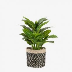 Mica Decorations Jarres Et Cache-pots Lot De 3 Cache-pots En Jute Noir Et Plastique -Plantes vertes Soldes lot de 3 cache pots en jute noir et plastique 3