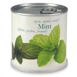Mac Flower's Plantes D'intérieur Et Fleurs D'intérieur Menthe à Faire Pousser En Boite
