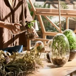 Design House Stockholm Plantes D'intérieur Et Fleurs D'intérieur Mini-serre Grow Verre Fait à La Main Transparent XL -Plantes vertes Soldes mini serre grow verre fait a la main transparent xl 2