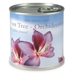 Mac Flower's Plantes D'intérieur Et Fleurs D'intérieur Orchidée à Faire Pousser En Boite