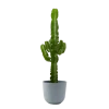 Flowy Plantes D'intérieur Et Fleurs D'intérieur Plante D'intérieur - Cactus De 80 Cm En Pot Bleu Gris