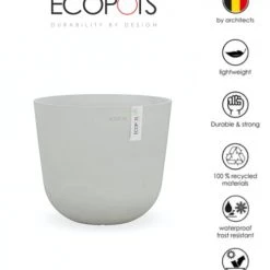 Flowy Plantes D'intérieur Et Fleurs D'intérieur Plante D'intérieur - Cactus Euphorbe De 80 Cm En Pot Blanc Gris -Plantes vertes Soldes plante d interieur cactus euphorbe de 80 cm en pot blanc gris 1