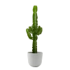 Flowy Plantes D'intérieur Et Fleurs D'intérieur Plante D'intérieur - Cactus Euphorbe De 80 Cm En Pot Blanc Gris