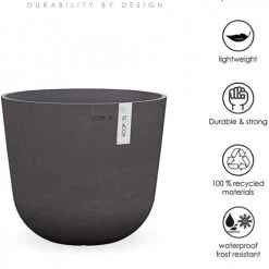 Flowy Plantes D'intérieur Et Fleurs D'intérieur Plante D'intérieur - Cactus Euphorbe De 80 Cm En Pot Noir -Plantes vertes Soldes plante d interieur cactus euphorbe de 80 cm en pot noir 1