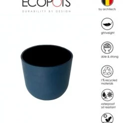 Flowy Plantes D'intérieur Et Fleurs D'intérieur Plante D'intérieur - Cactus Euphorbe De 80cm En Pot Bleu Nuit -Plantes vertes Soldes plante d interieur cactus euphorbe de 80cm en pot bleu nuit 1