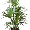 Flowy Plantes D'intérieur Et Fleurs D'intérieur Plante D'intérieur - Palmier Kentia De 90cm En Pot Noir