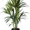 Flowy Plantes D'intérieur Et Fleurs D'intérieur Plante D'intérieur - Palmier Kentia Howea De 90cm