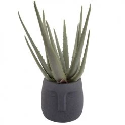 Present Time Jarres Et Cache-pots Pot à Plantes Blanc Faces D12,5cm -Plantes vertes Soldes pot a plantes blanc faces d12 5cm 3