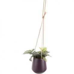 Present Time Jarres Et Cache-pots Pot à Suspendre Finition Mat Violet Foncé -Plantes vertes Soldes pot a suspendre finition mat violet fonce 3