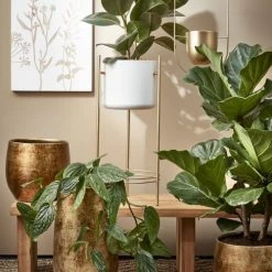 Plantes vertes Soldes -Plantes vertes Soldes pot de fleurs en terre cuite dore d29 1