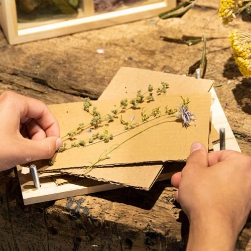 Esschert Design Jarres Et Cache-pots Presse Fleurs Et Herbes 2 Esschert Design Jarres Et Cache-pots Presse Fleurs Et Herbes – Image 2