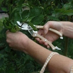 Esschert Design Décoration De Jardin Sécateur En Bois Et Acier Inoxydable 5 Esschert Design Décoration De Jardin Sécateur En Bois Et Acier Inoxydable -Plantes vertes Soldes secateur en bois et acier inoxydable 2