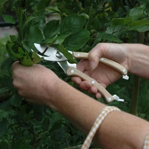 Esschert Design Décoration De Jardin Sécateur En Bois Et Acier Inoxydable 3 Esschert Design Décoration De Jardin Sécateur En Bois Et Acier Inoxydable – Image 3