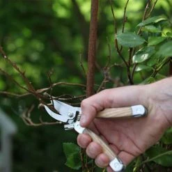 Esschert Design Jarres Et Cache-pots Sécateur Multi-outils -Plantes vertes Soldes secateur multi outils 2