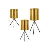 Wadiga Jarres Et Cache-pots Set De 3 Cache-pots Sur Pied En Métal Noir Et Doré