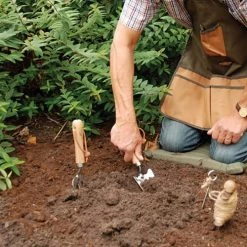 Esschert Design Jarres Et Cache-pots Set Outils De Jardinage -Plantes vertes Soldes set outils de jardinage 3