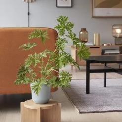 Hubsch Jarres Et Cache-pots Support De Plante En Bois Beige H20 -Plantes vertes Soldes support de plante en bois beige h20 2