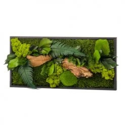 Naturalys Plantes D'intérieur Et Fleurs D'intérieur Tableau Végétal Rectangle Noir 27x57cm