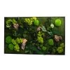 Naturalys Plantes D'intérieur Et Fleurs D'intérieur Tableau Végétal Rectangle XL 100x60cm