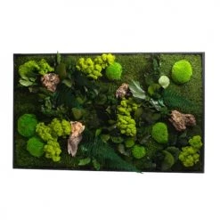 Naturalys Plantes D'intérieur Et Fleurs D'intérieur Tableau Végétal Rectangle XL 100x60cm