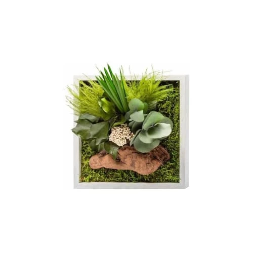 Naturalys Plantes D'intérieur Et Fleurs D'intérieur Tableau Végétal Stabilisé Nature Carré 20 X 20 Cm 2 Naturalys Plantes D'intérieur Et Fleurs D'intérieur Tableau Végétal Stabilisé Nature Carré 20 X 20 Cm – Image 2