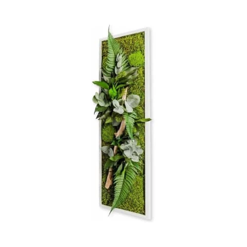 Naturalys Plantes D'intérieur Et Fleurs D'intérieur Tableau Végétal Stabilisé Nature Pano 20 X 70 Cm 1 Naturalys Plantes D'intérieur Et Fleurs D'intérieur Tableau Végétal Stabilisé Nature Pano 20 X 70 Cm