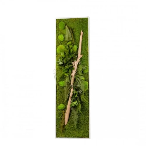 Naturalys Plantes D'intérieur Et Fleurs D'intérieur Tableau Végétal Stabilisé Nature Pano 40 X 140 Cm 2 Naturalys Plantes D'intérieur Et Fleurs D'intérieur Tableau Végétal Stabilisé Nature Pano 40 X 140 Cm – Image 2