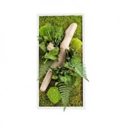 Naturalys Plantes D'intérieur Et Fleurs D'intérieur Tableau Végétal Stabilisé Nature Rectangle 27 X 58 Cm -Plantes vertes Soldes tableau vegetal stabilise nature rectangle 27 x 58 cm 2
