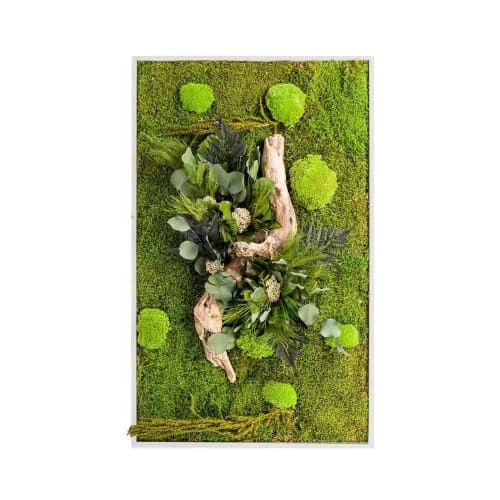 Naturalys Plantes D'intérieur Et Fleurs D'intérieur Tableau Végétal Stabilisé Nature Rectangle 40 X 90 Cm 2 Naturalys Plantes D'intérieur Et Fleurs D'intérieur Tableau Végétal Stabilisé Nature Rectangle 40 X 90 Cm – Image 2