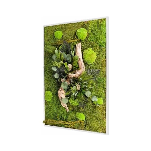 Naturalys Plantes D'intérieur Et Fleurs D'intérieur Tableau Végétal Stabilisé Nature Rectangle 40 X 90 Cm 1 Naturalys Plantes D'intérieur Et Fleurs D'intérieur Tableau Végétal Stabilisé Nature Rectangle 40 X 90 Cm