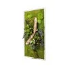 Naturalys Plantes D'intérieur Et Fleurs D'intérieur Tableau Végétal Stabilisées Nature Rectangle 57 X 97 Cm