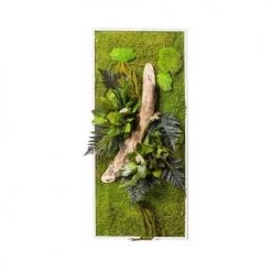 Naturalys Plantes D'intérieur Et Fleurs D'intérieur Tableau Végétal Stabilisées Nature Rectangle 57 X 97 Cm -Plantes vertes Soldes tableau vegetal stabilisees nature rectangle 57 x 97 cm 2